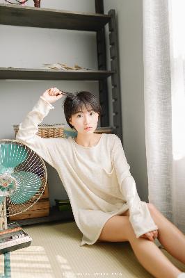 最近好看的2019免费